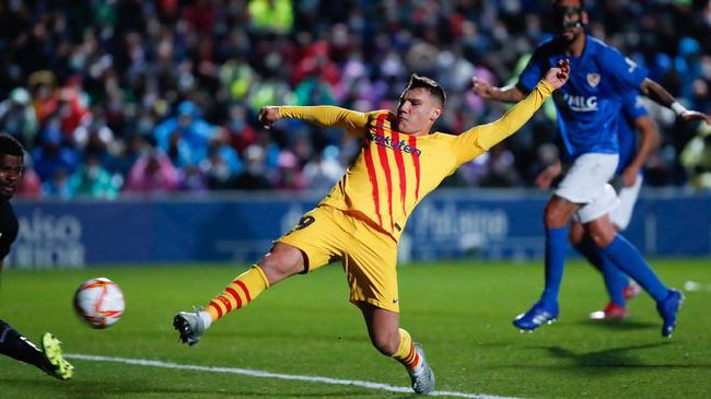 为什么我们需要一棵“寂静的朋友”？