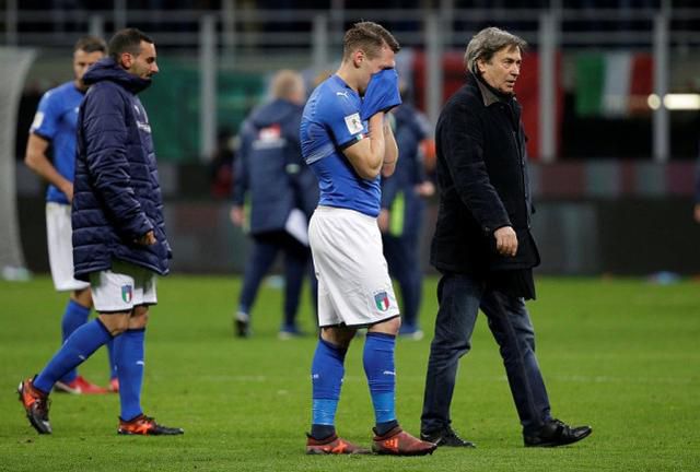 庭院里的那棵树是微观家庭与宏观宇宙的链接点，见证了生命的轮回。