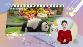 影版《长安的荔枝》口碑票房领跑 大鹏这次赢了？